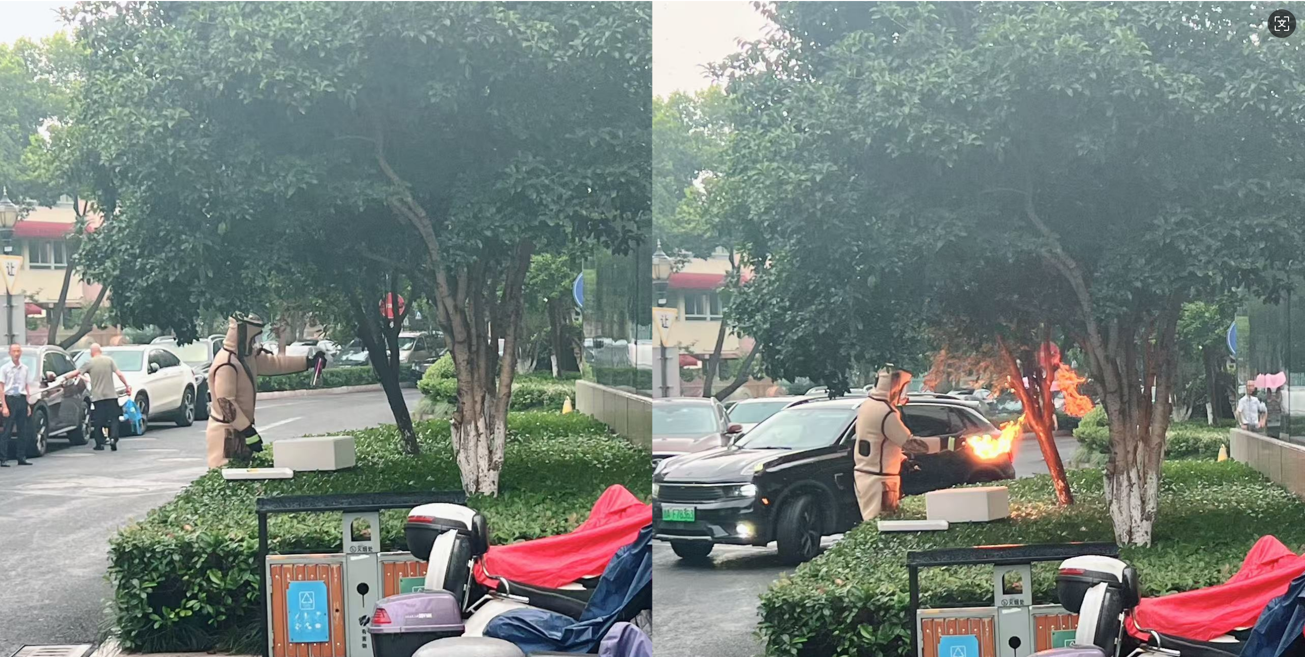 安全守护零距离，水晶城急剧措置表围蜂群隐患