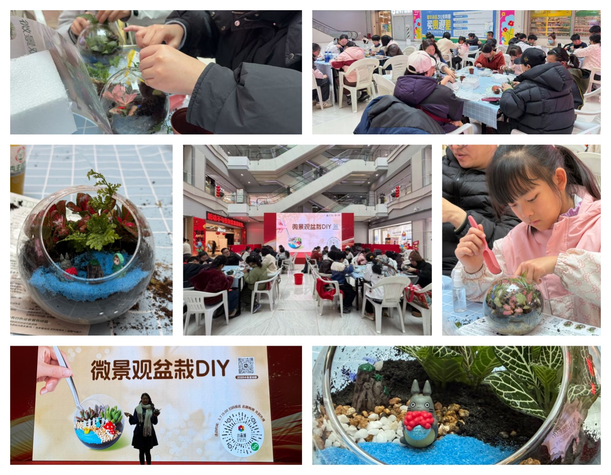 巧手造微景，指尖绽春意——水晶城微景观盆栽 DIY 活动圆满进行