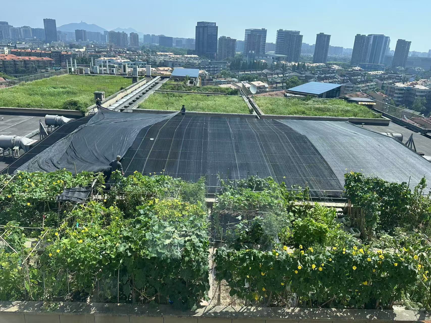 微信图片_20250716172539.jpg
